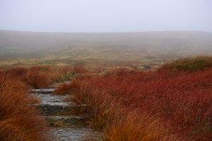Trekken door de Yorkshire Dales – Dag 3: Hardraw – Muker