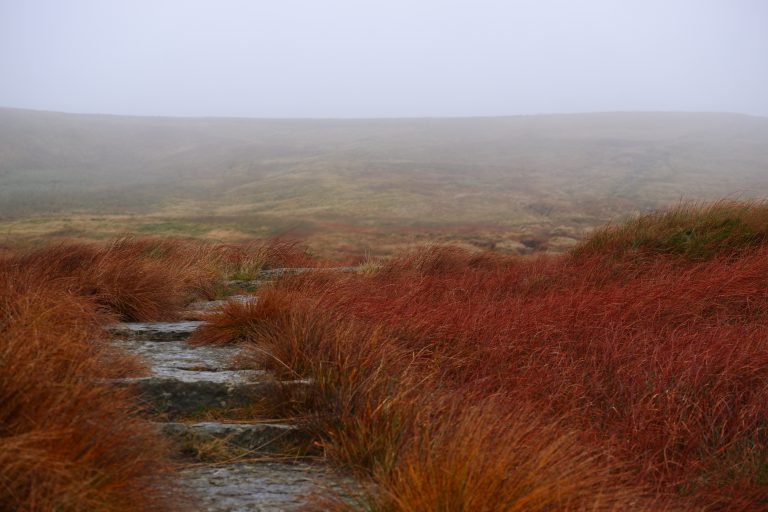 Lees meer over het artikel Trekken door de Yorkshire Dales – Dag 3: Hardraw – Muker