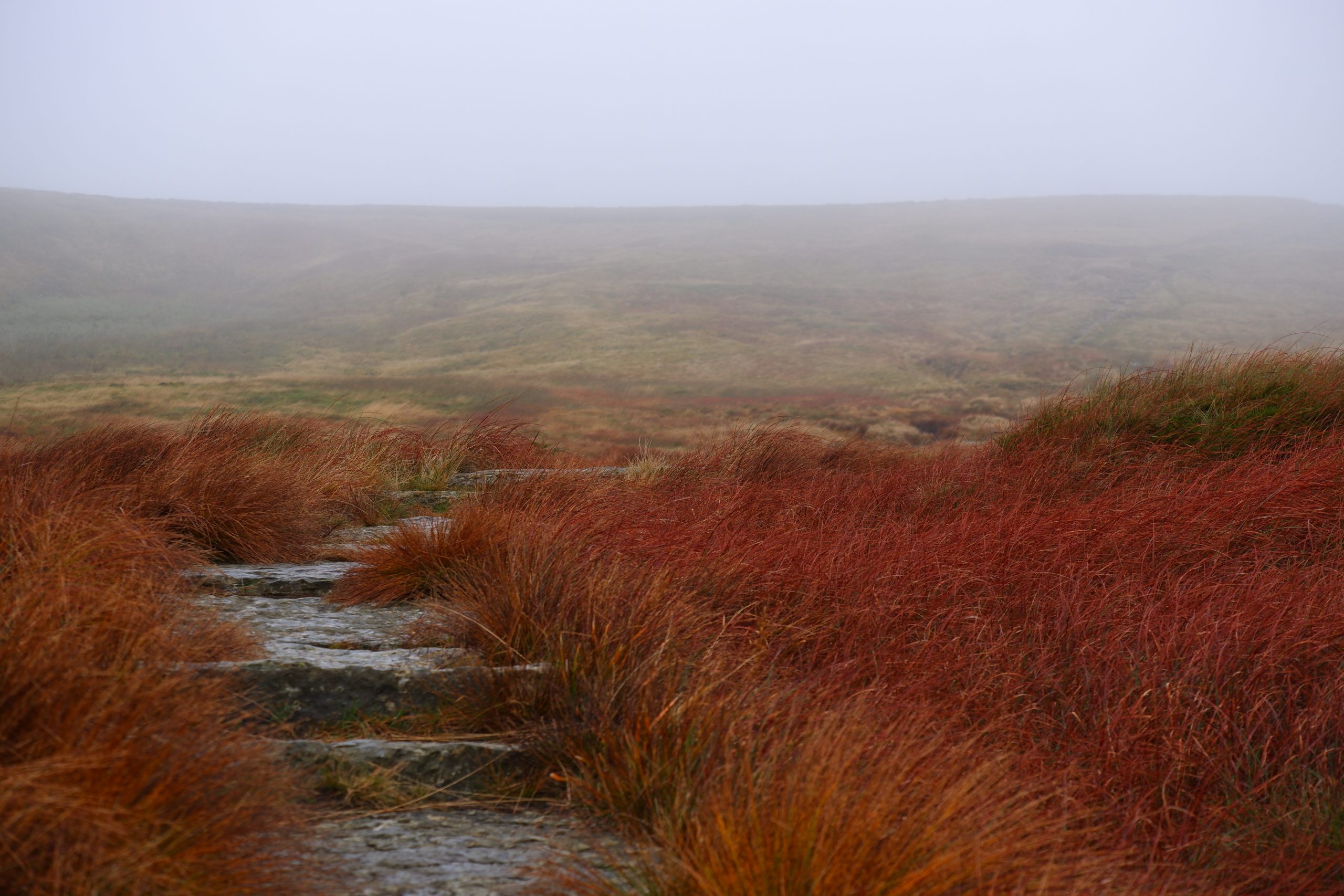 Je bekijkt nu Trekken door de Yorkshire Dales – Dag 3: Hardraw – Muker