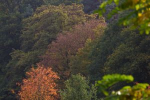 Drie herfstwandelingen met cosy horeca